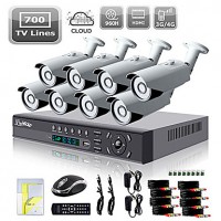 Liview ® sistema de câmera 8ch hdmi 960h network dvr 700tvl outdoor dia / noite de segurança